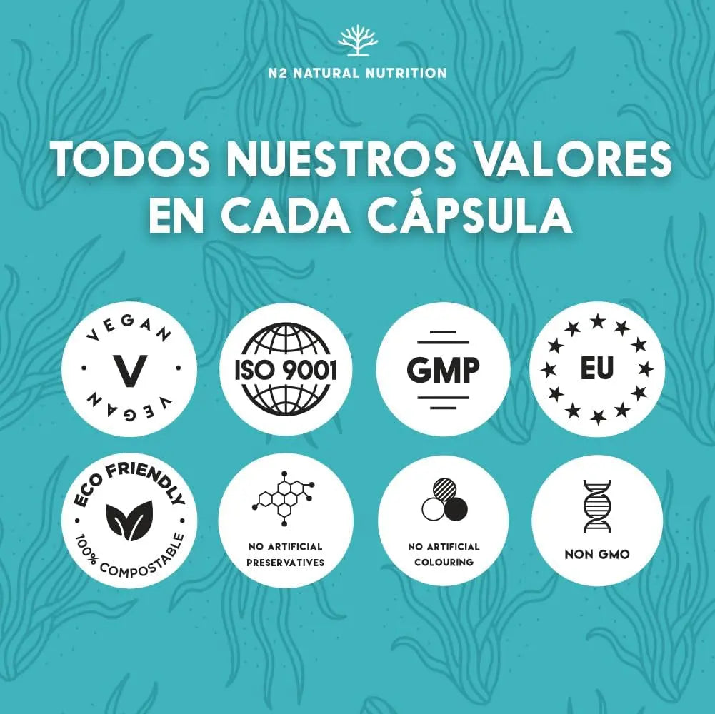 Spiruline Chlorella Gelules Teneur Élevée En Fer, Chlorophylle Et Proteine Vegan. Phycocyanine | anti Fatigue Vitamine | 2244 Mg Algues Sans Excipient 180 Capsules Vegan UE