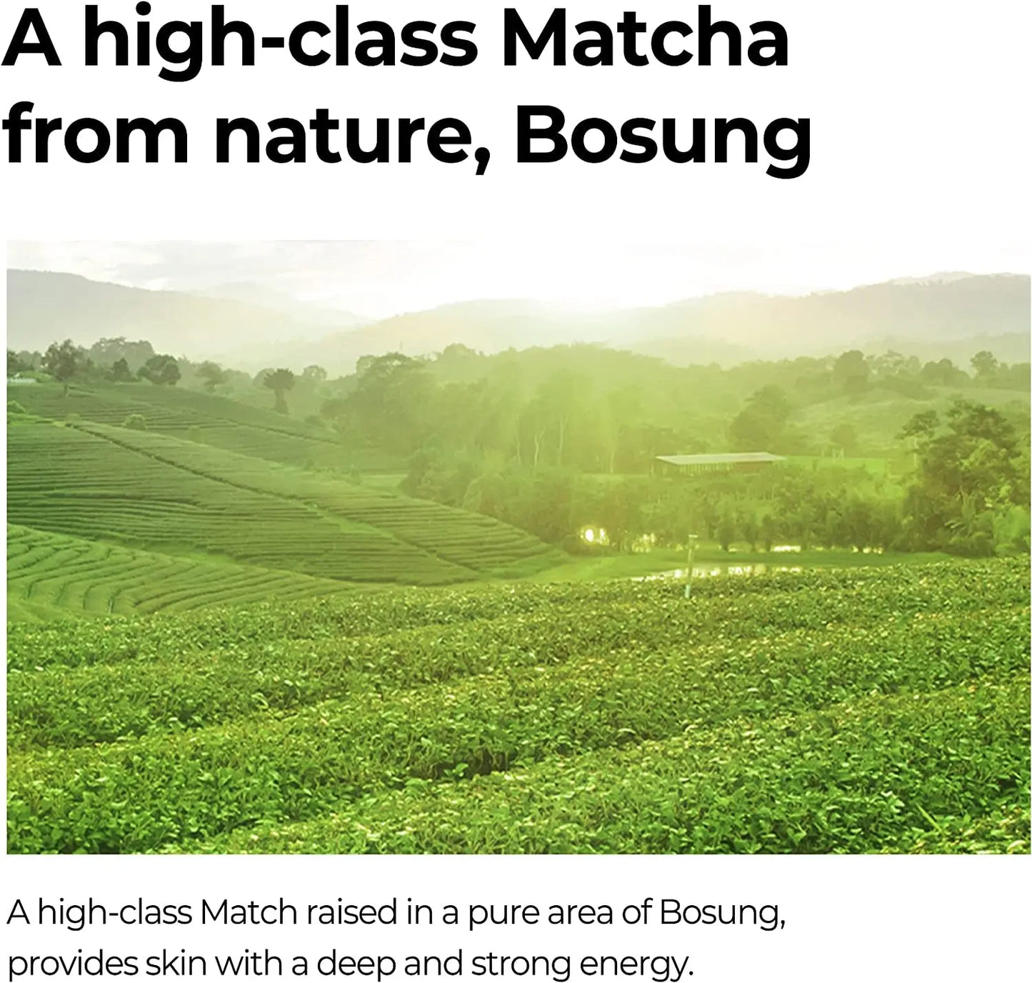 Sérum Raffermissant Les Pores Super Matcha - 1,69 Oz, 50 Ml - Fabriqué À Partir D'Eau De Match Pour Peaux Sensibles - Effet Hydratant Et Purifiant Pour La Peau