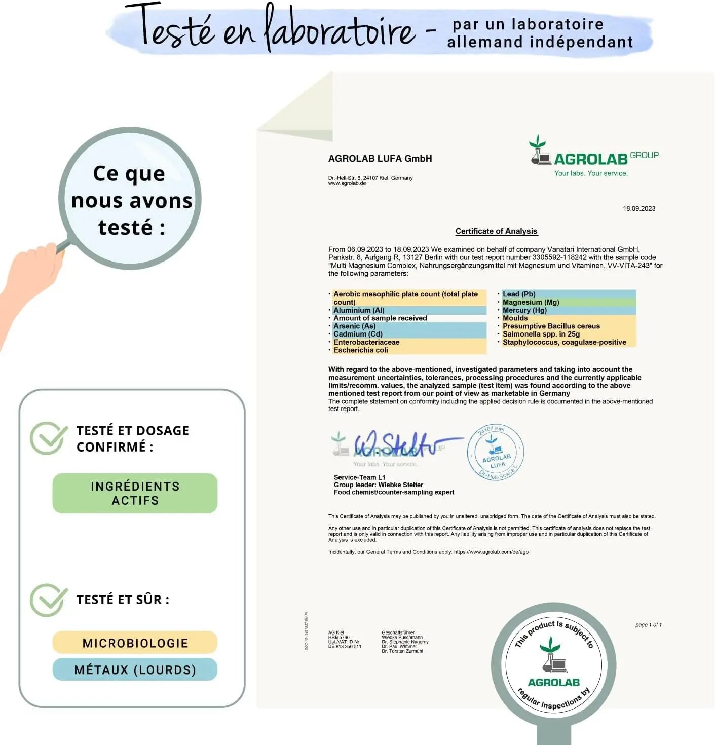 Complexe De Magnesium 375 Mg | 180 Gélules | 4 FORMES - Bisglycinate, Malate, Citrate Et Taurate | Avec Vitamine B2 & B6 | Absorption Supérieure | Sans Additifs & Vegan | ®