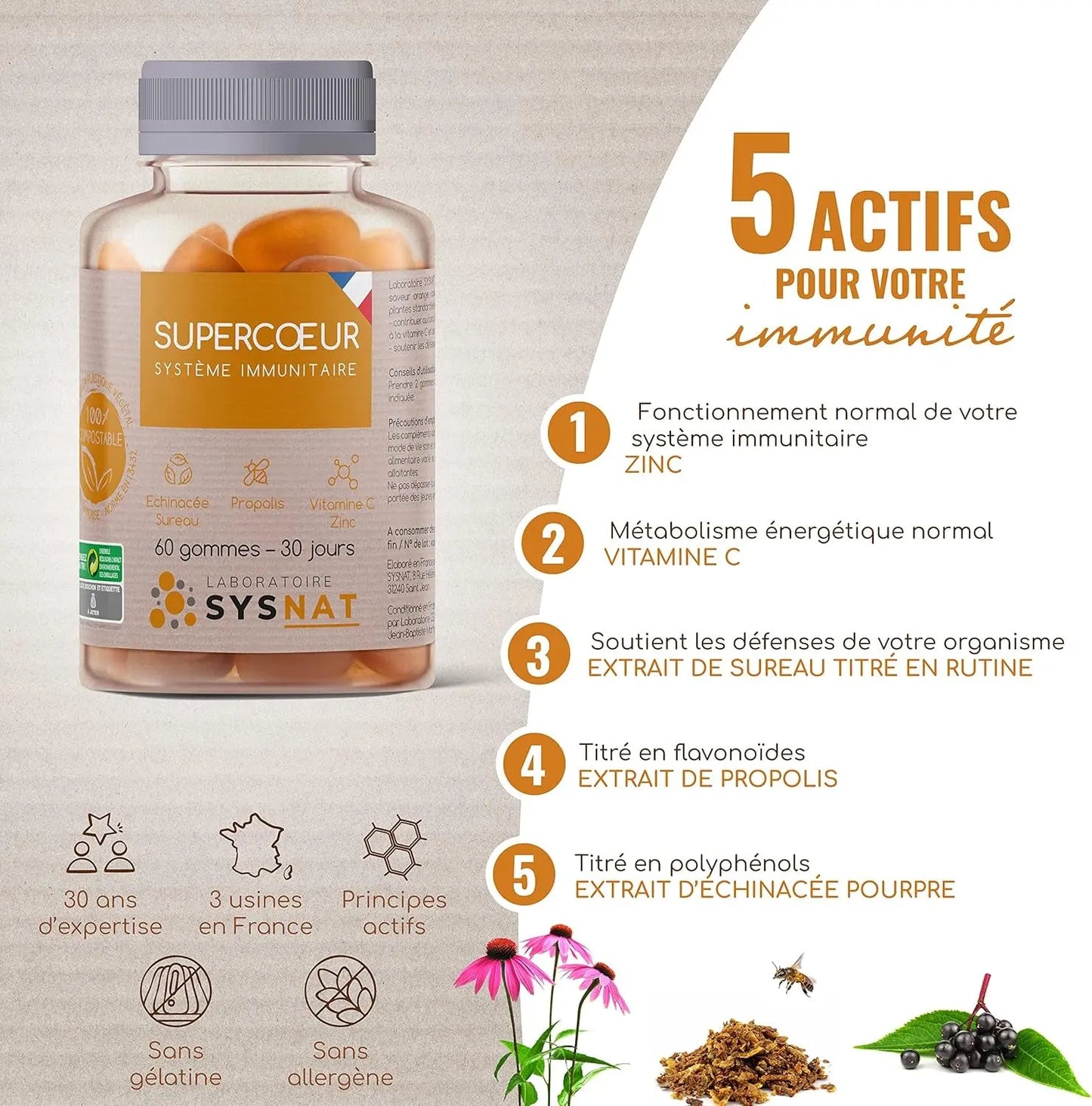 Défenses Naturelles & Système Immunitaire • Zinc Complement Alimentaire Propolis Echinacea Sureau Vitamine C • Multivitamines Et Minéraux • 60 Gummies • Usine En France • Laboratoire SYSNAT
