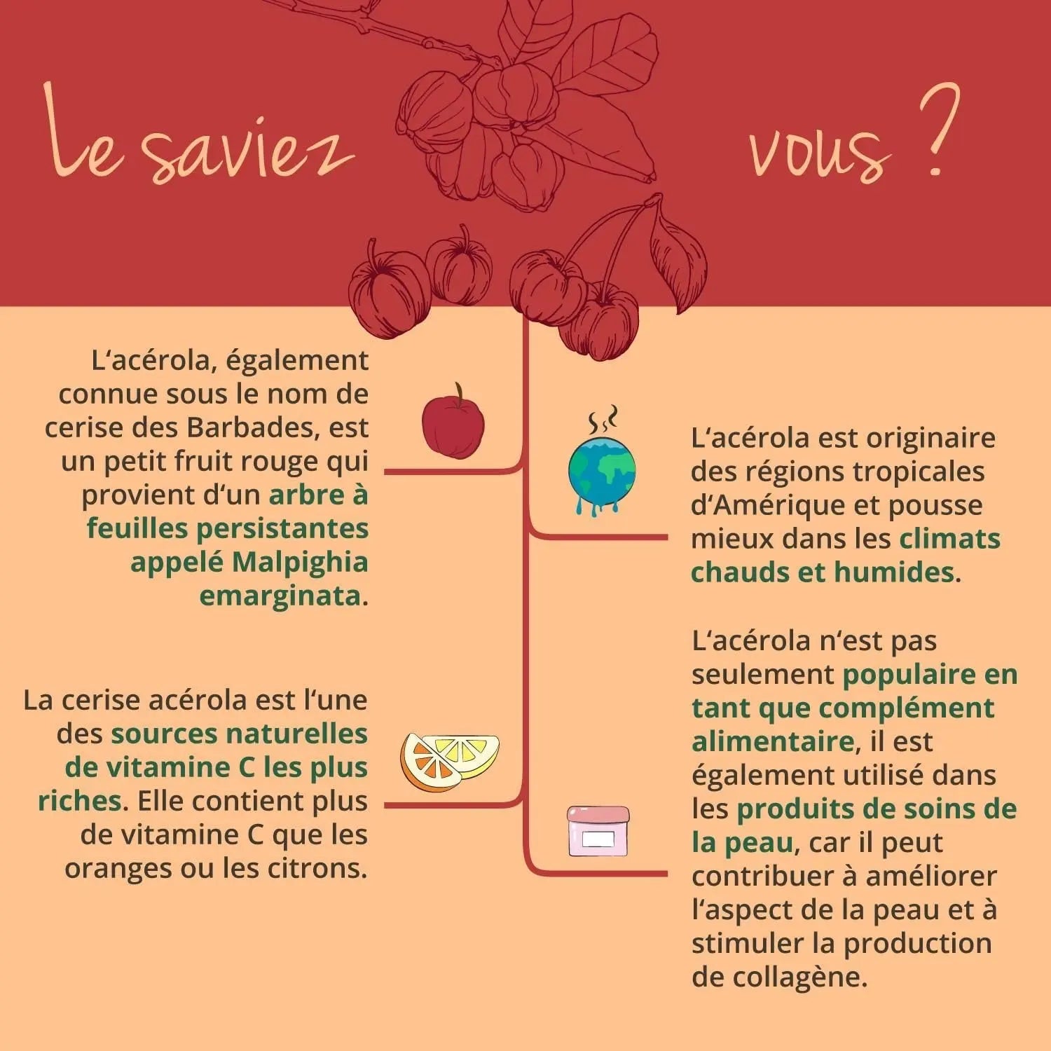 Acerola Vitamine C BIO ® | UNIQUE : 100% NATURELLE - Sans Additifs | Extraction En FRANCE | 180 Gélules | 1060 Mg D’Extrait Par Dose | VEGAN